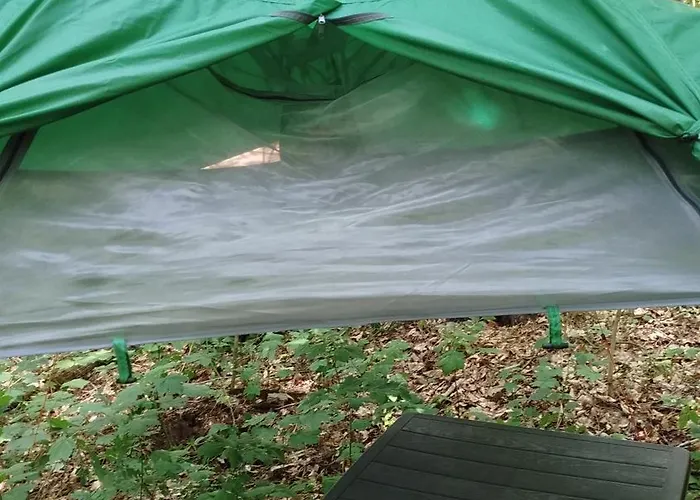 营地 Baumzelt Mitten Im Wald Bis 180kg